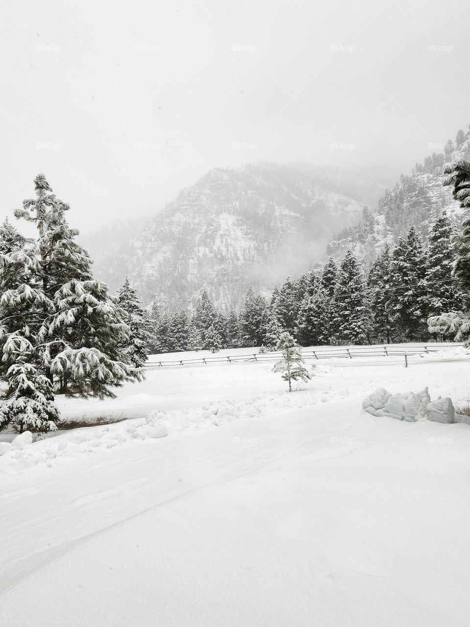 snowy mountain scene