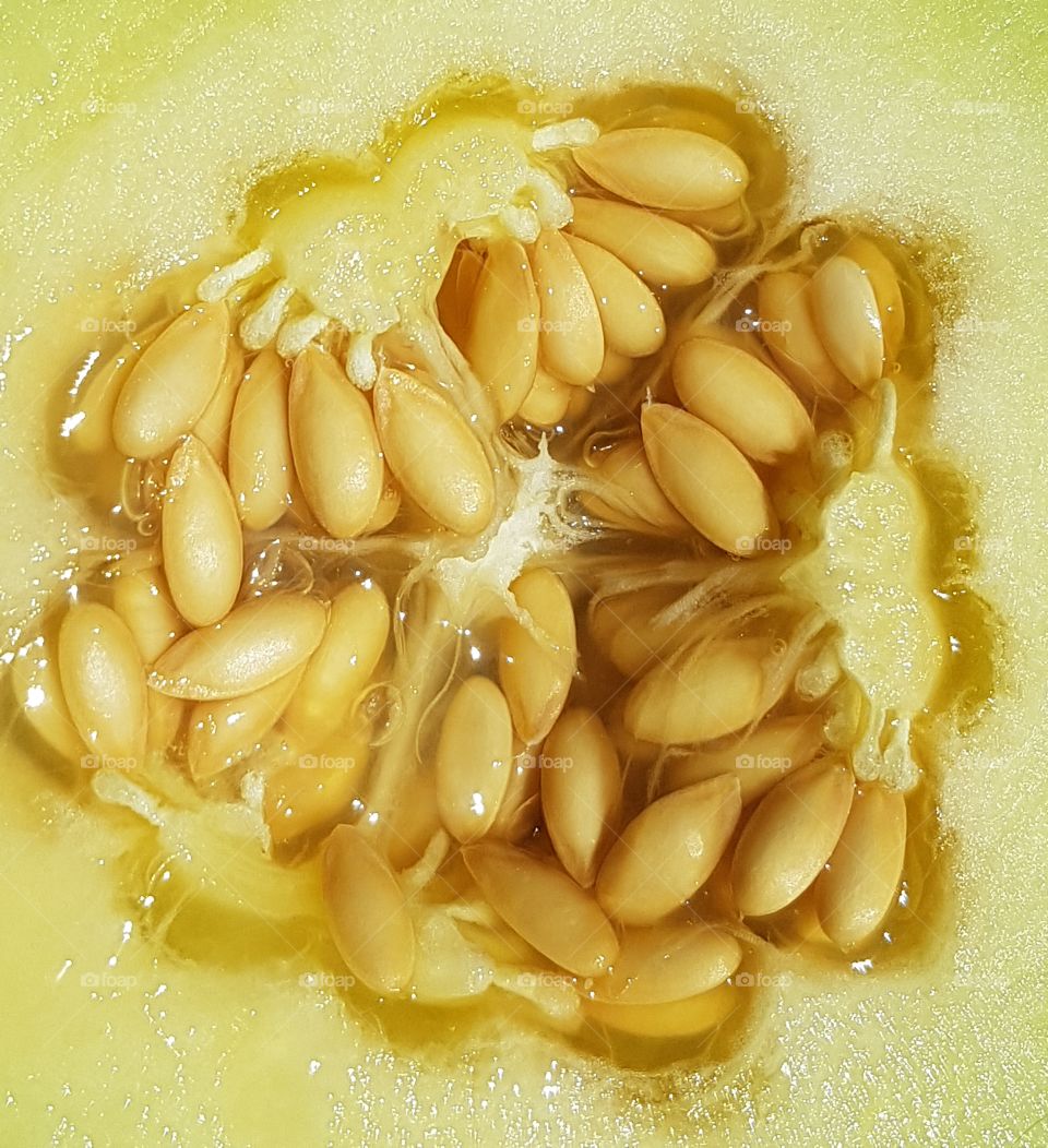 Melon seeds