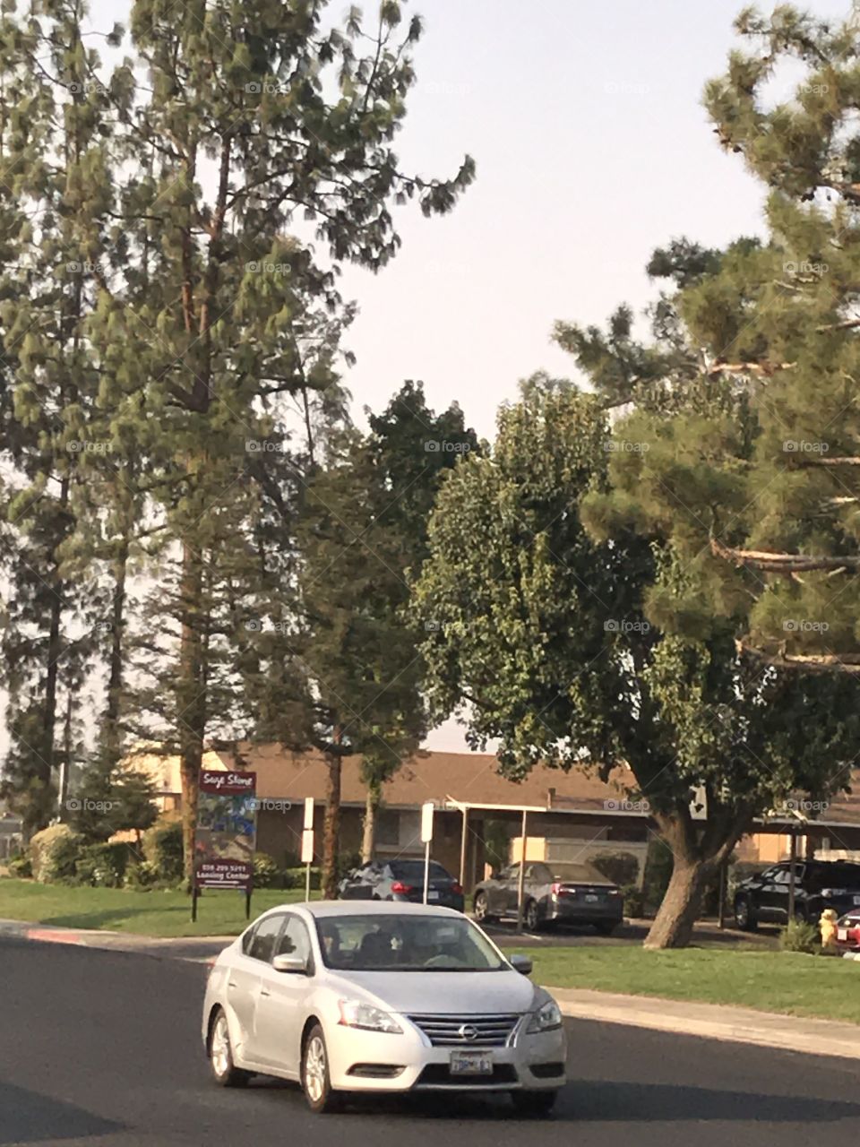 Apartment homes with beautiful trees. There is nothing like different yet wonderful trees to adorn the apartment complex.