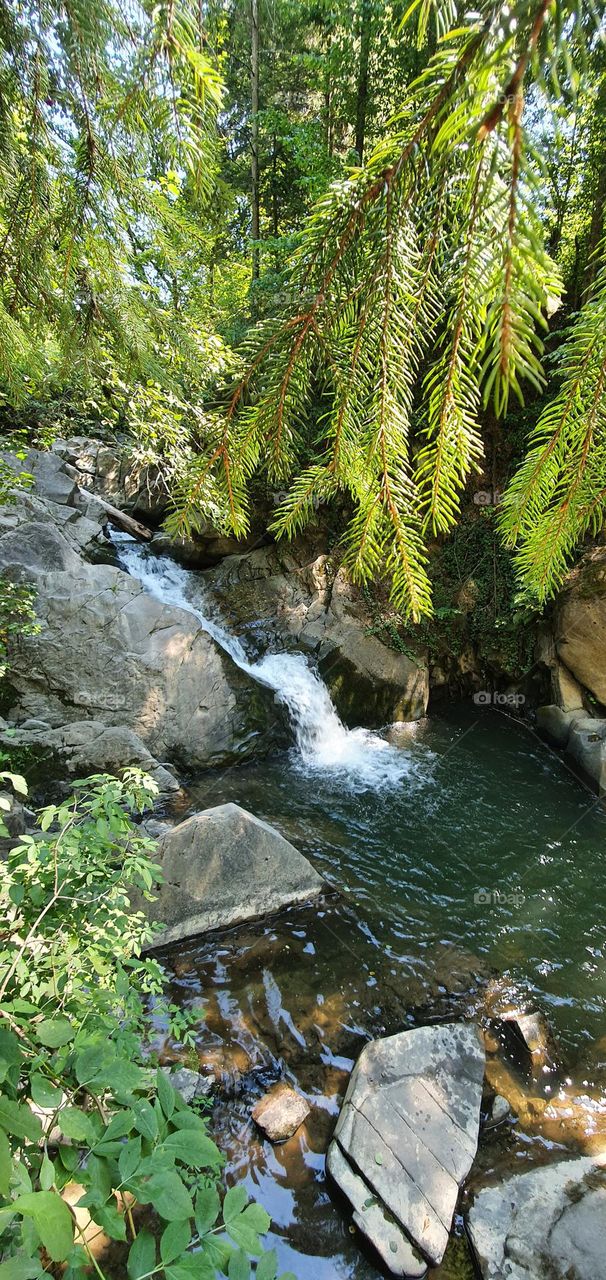 River in the middle of forest, Carpathian mountains