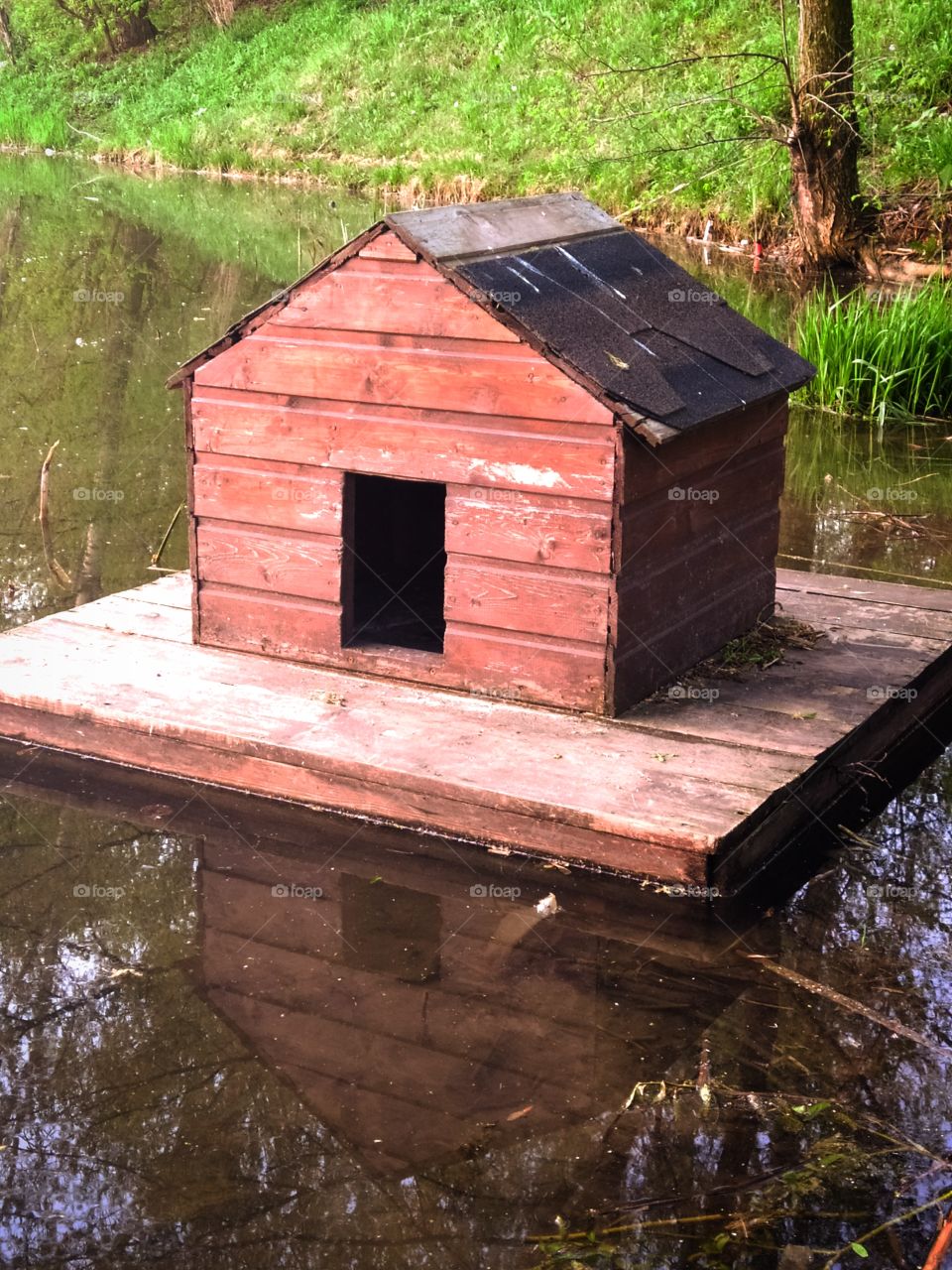House for wild ducks on the river