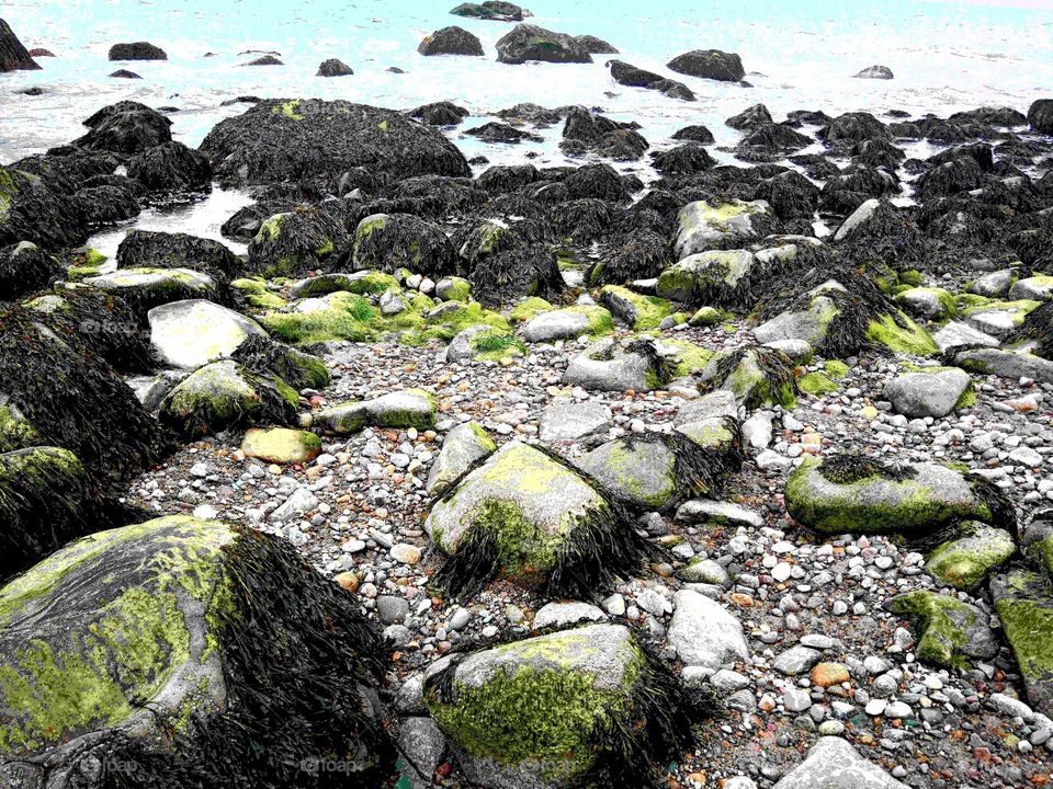 Gorgeous earth tones