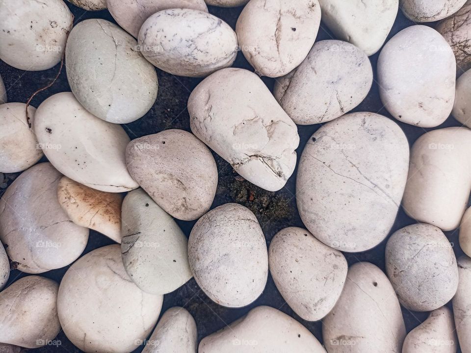 Close-up view of a group of white stones of different sizes and shapes, scattered on the ground. Some of the rocks have cracks and brownish stains, showing signs of natural erosion