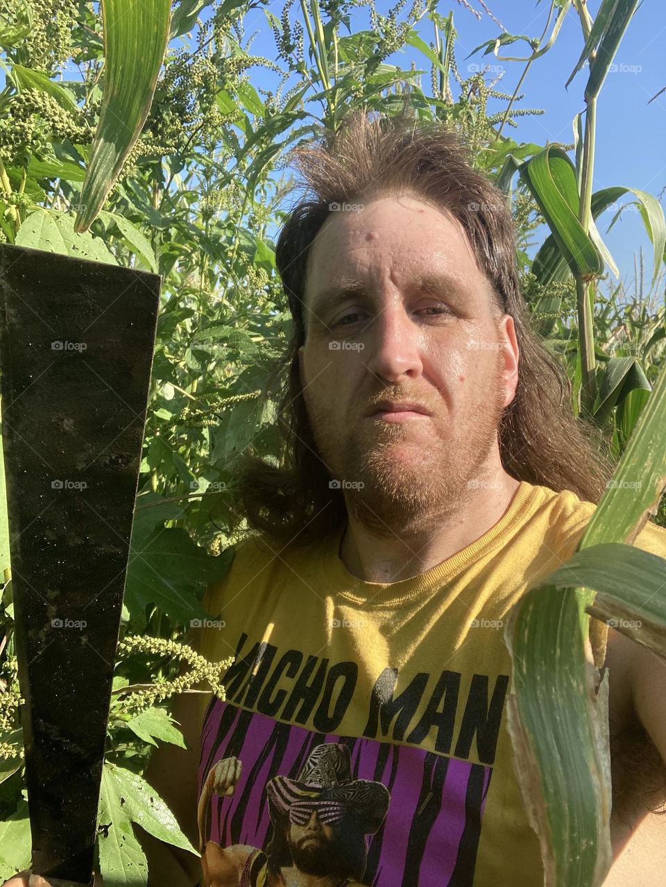 Welcome to the Jungle 