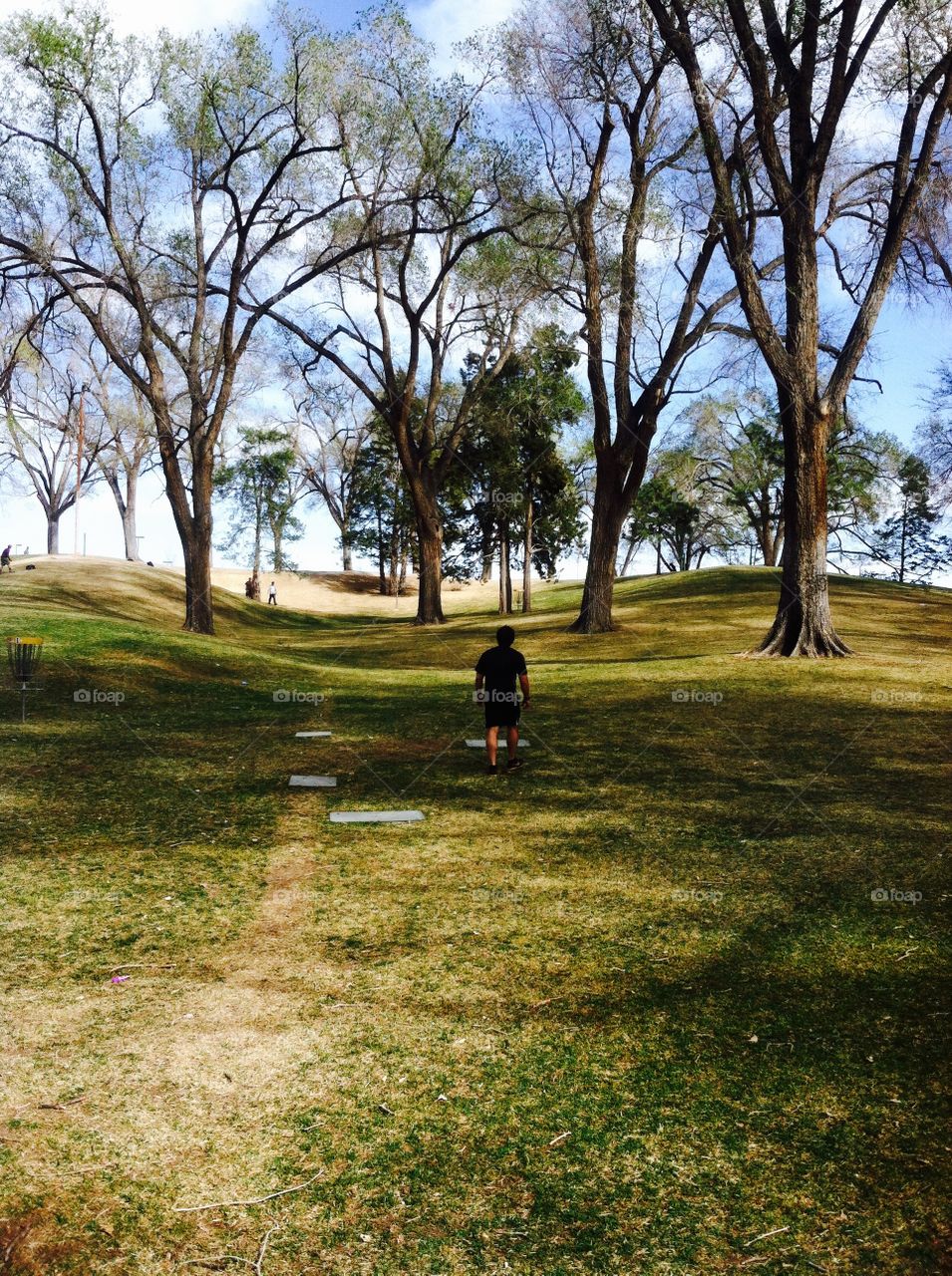 Playing disc golf in park