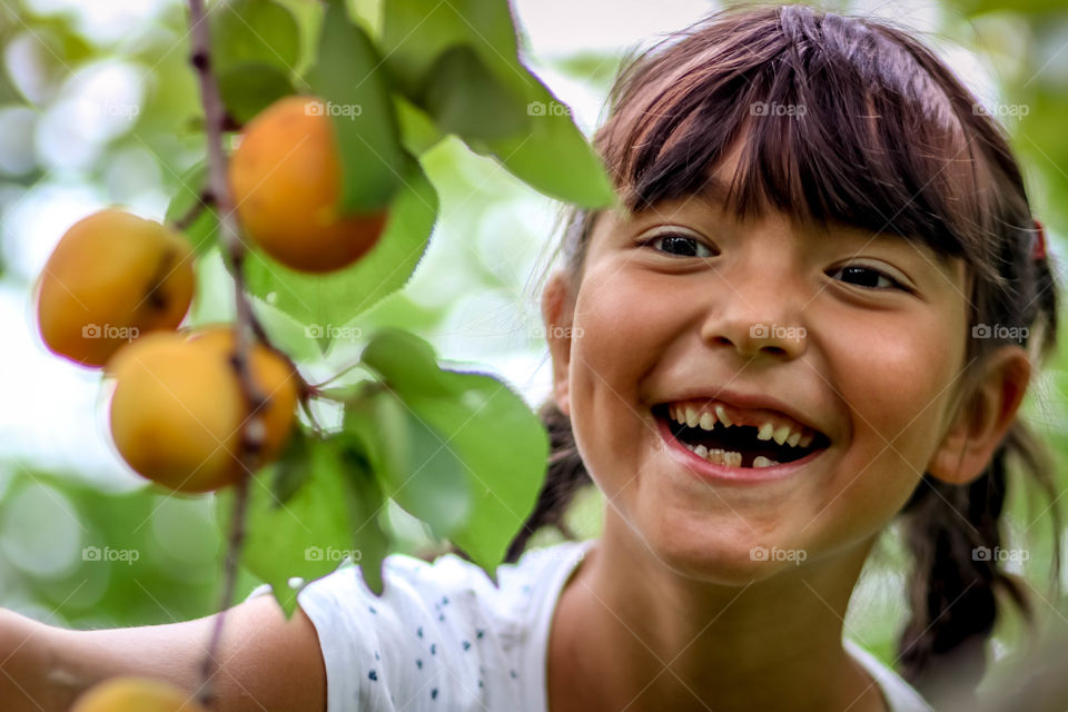 Cute girl is picking apricots from a tree