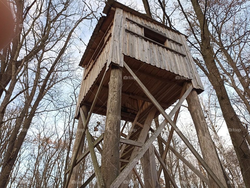 Observation tower in the forest