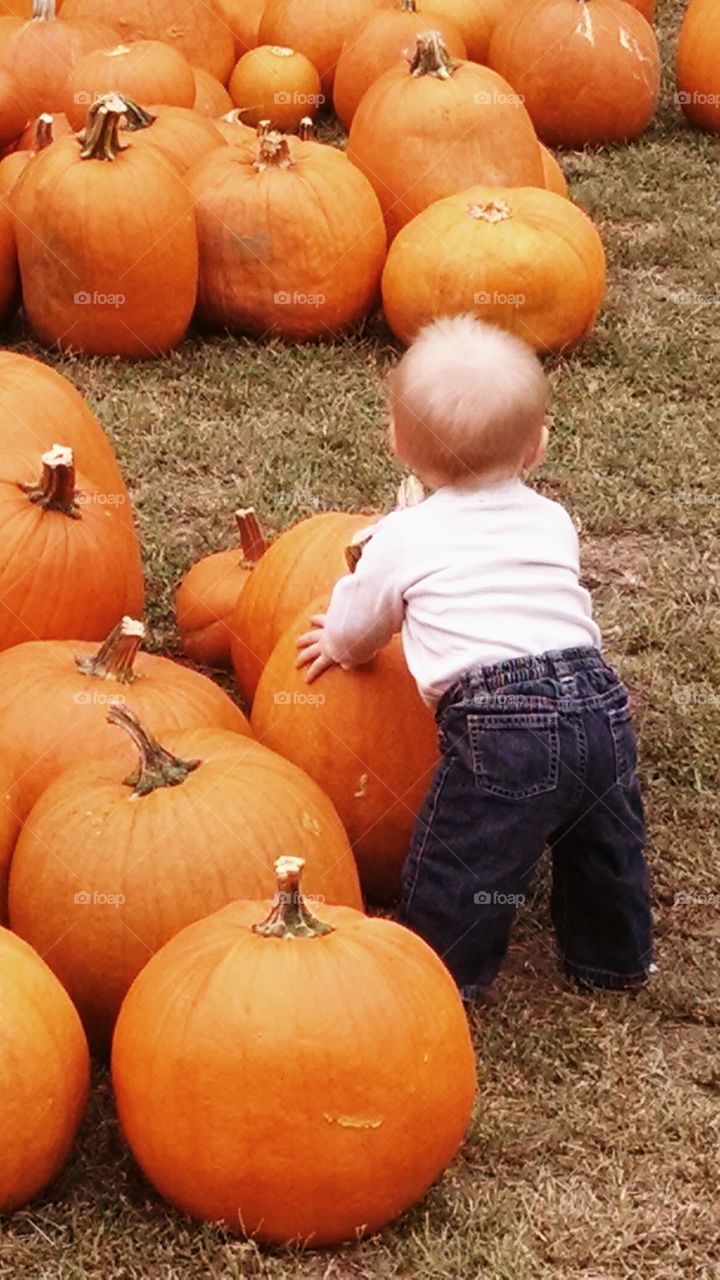 baby with pumpkins