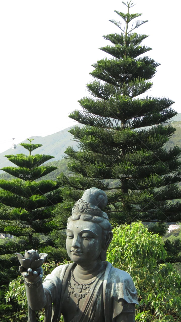 HK, Hong Kong, Buddhism, Religion, Meditation, Prayer, Zen, Temple, Asian History, Heritage, Mountain Top, Pilgrim, Pilgrimage, Connection, Asian, Garden, Offering, Green Trees, Servant 