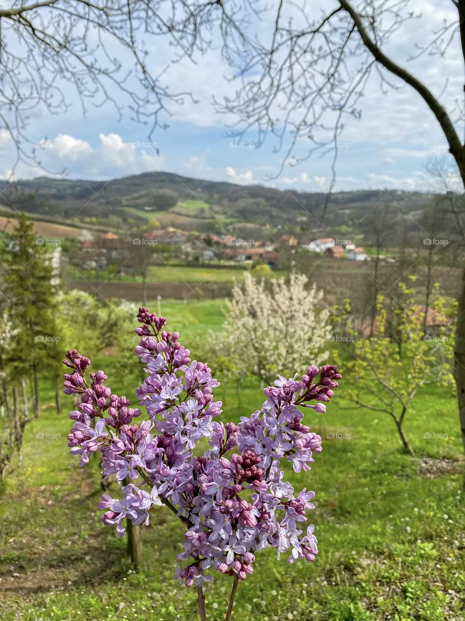 Spring