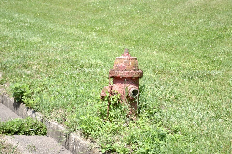 An old red rusty faded fire hydrant sitting in a patch of weeds on the green grass near a curb