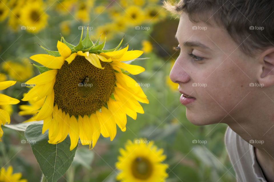 Smelling the Sunflowers 