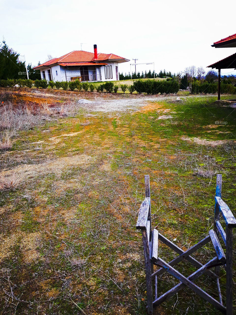 In search of the director