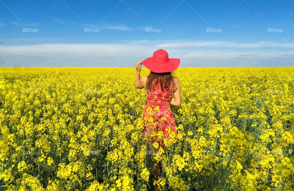 Yellow field