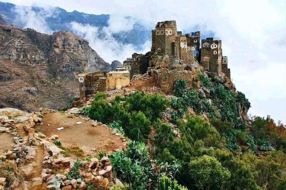 A very beautiful picture, and there is no better picture than it. There is no better picture of green herbs and colorful, red and white roses than it. Glory be to God, the natural and picturesque view, and there is no more