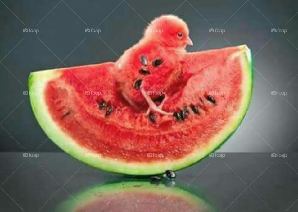 Fruit Art watermelon