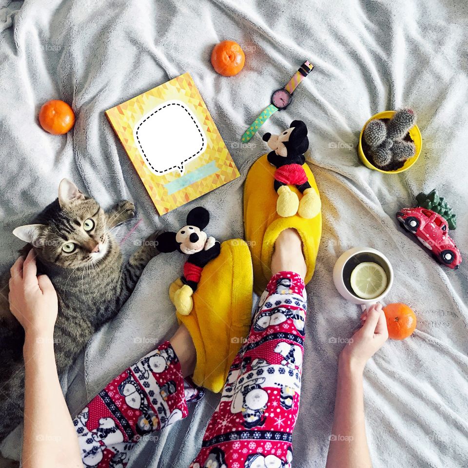 Fun at home.Cozy photo with tea and cat