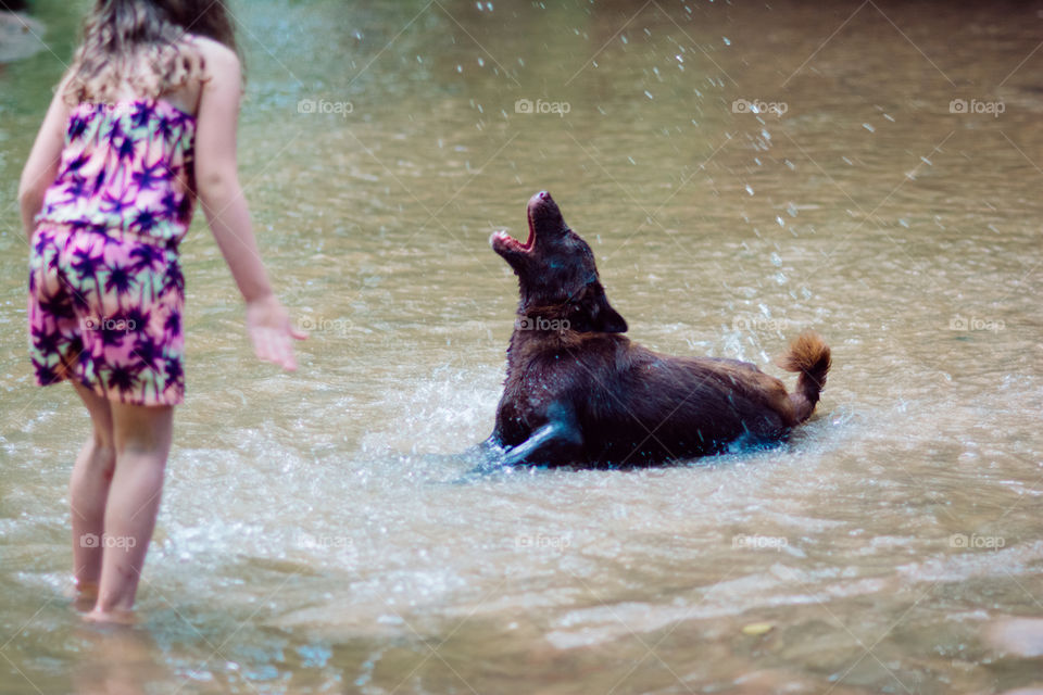 A Girl and Her Brown Dog Playing in the Creek 2