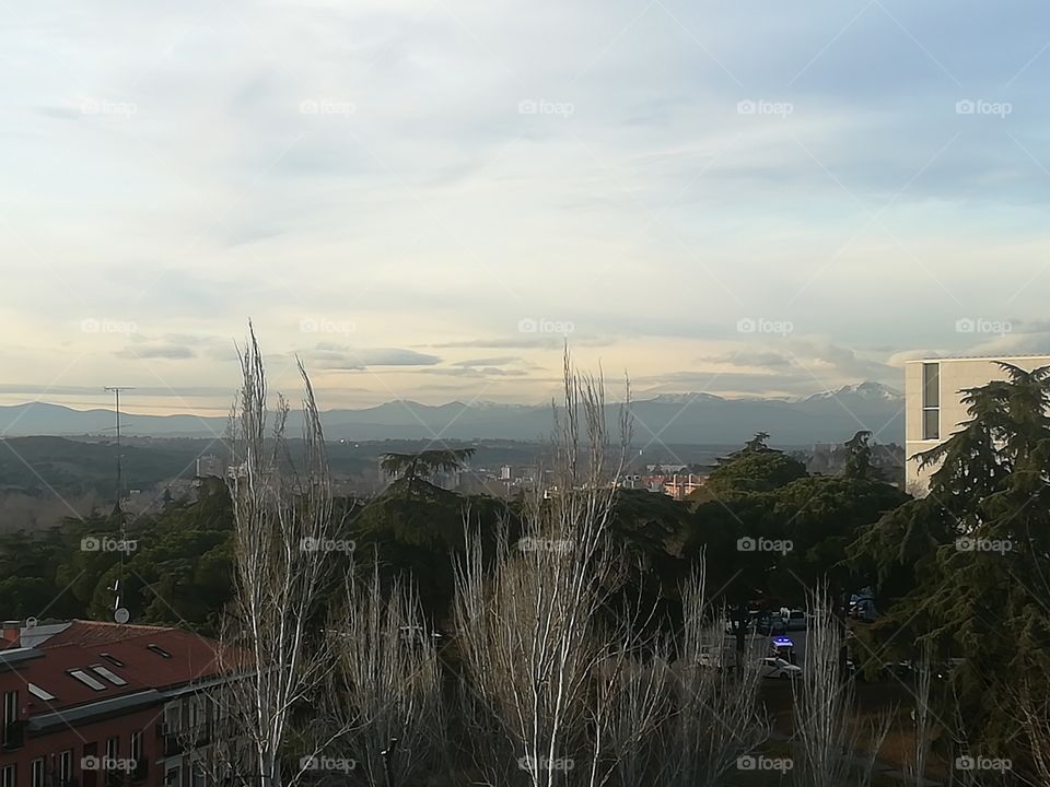 Madrid. Mountains in the background, trees upfront waiting for sun to start blossoming.