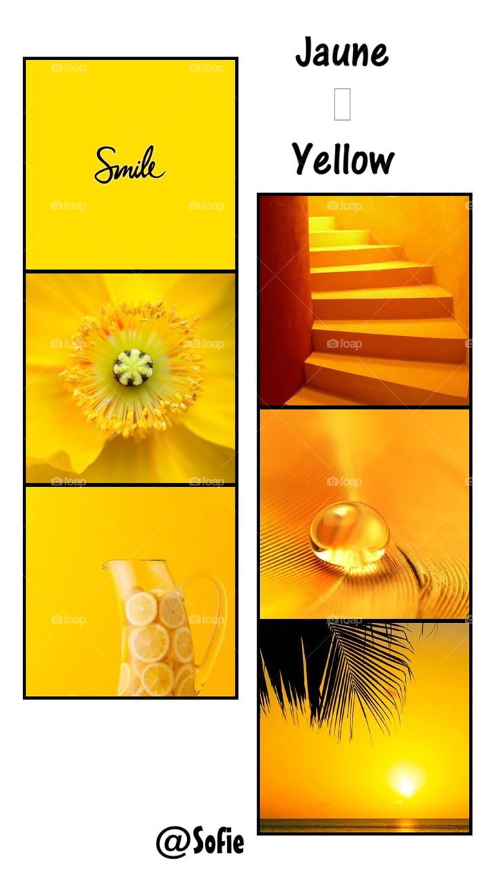 Création ~ Application « StoryArt »