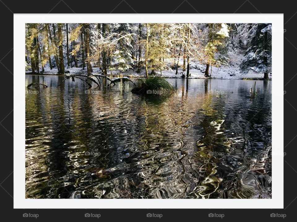 Steibachweiher Suisse 