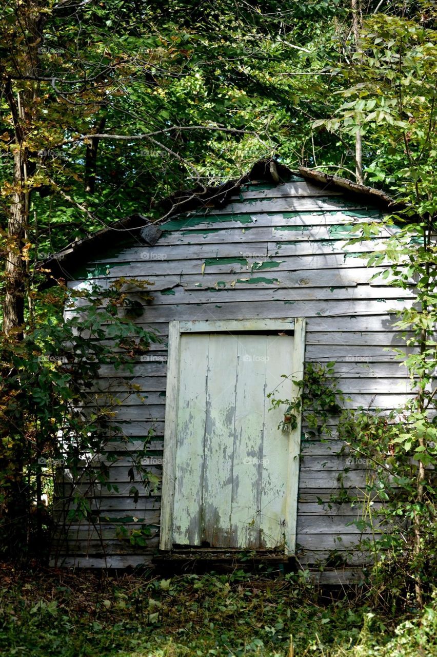 Old shed