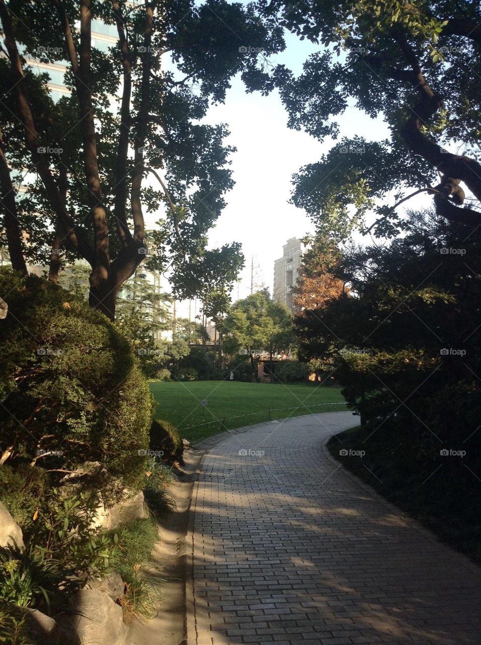 A walkway in the park