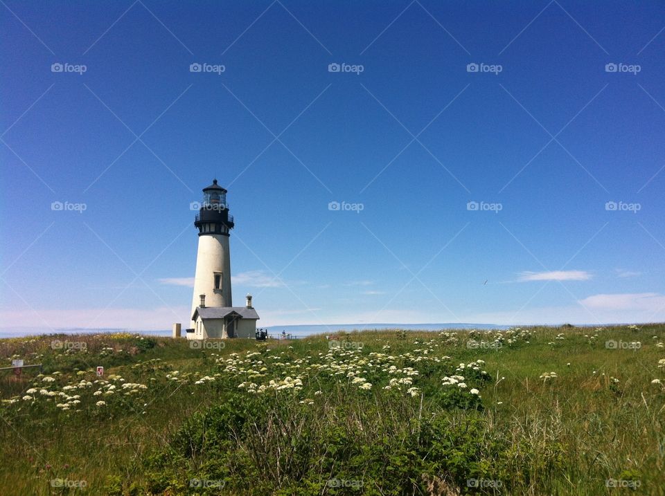 Oregon coast light house 