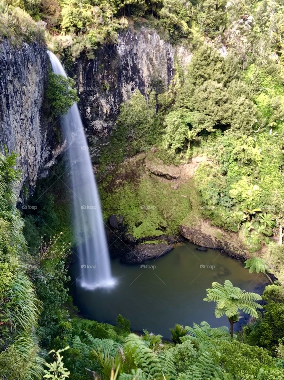 The aptly named Bridal Veil Falls surrounded by lush green bush