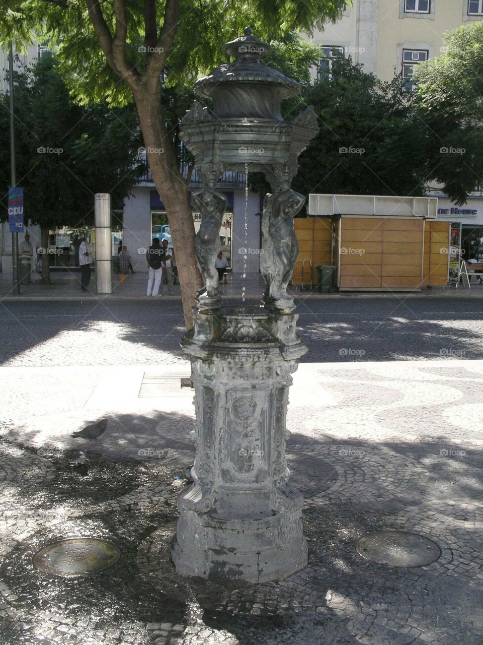 Fountain