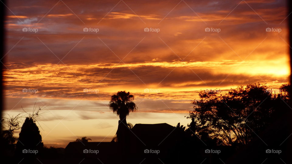 African fire sunset