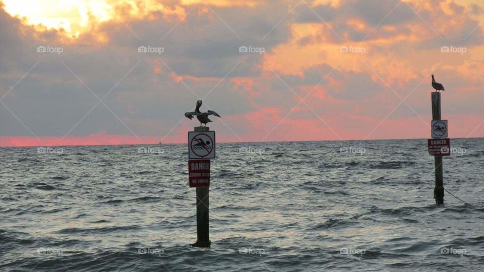 Pelican - learning to fly