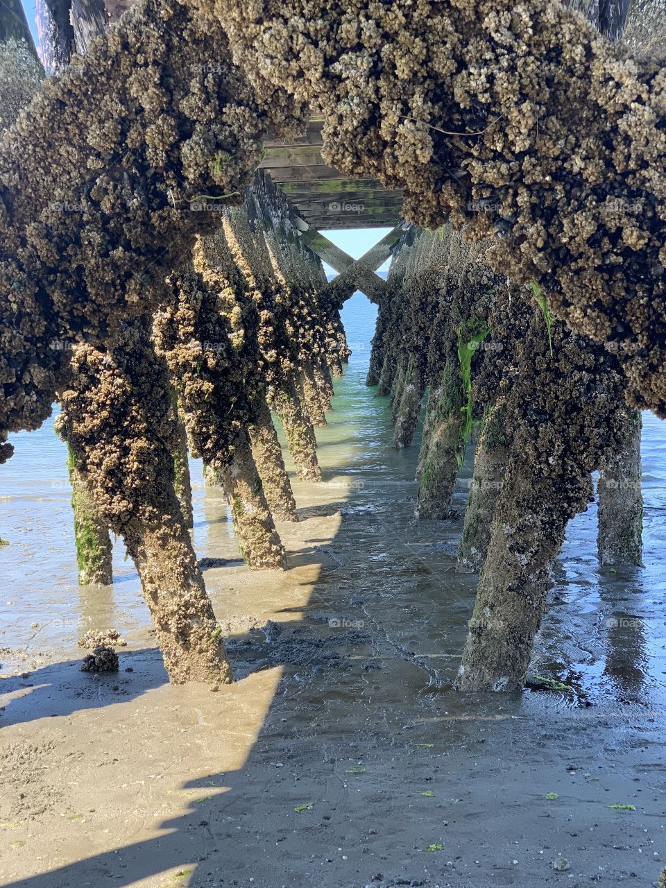 Nature’s perspective