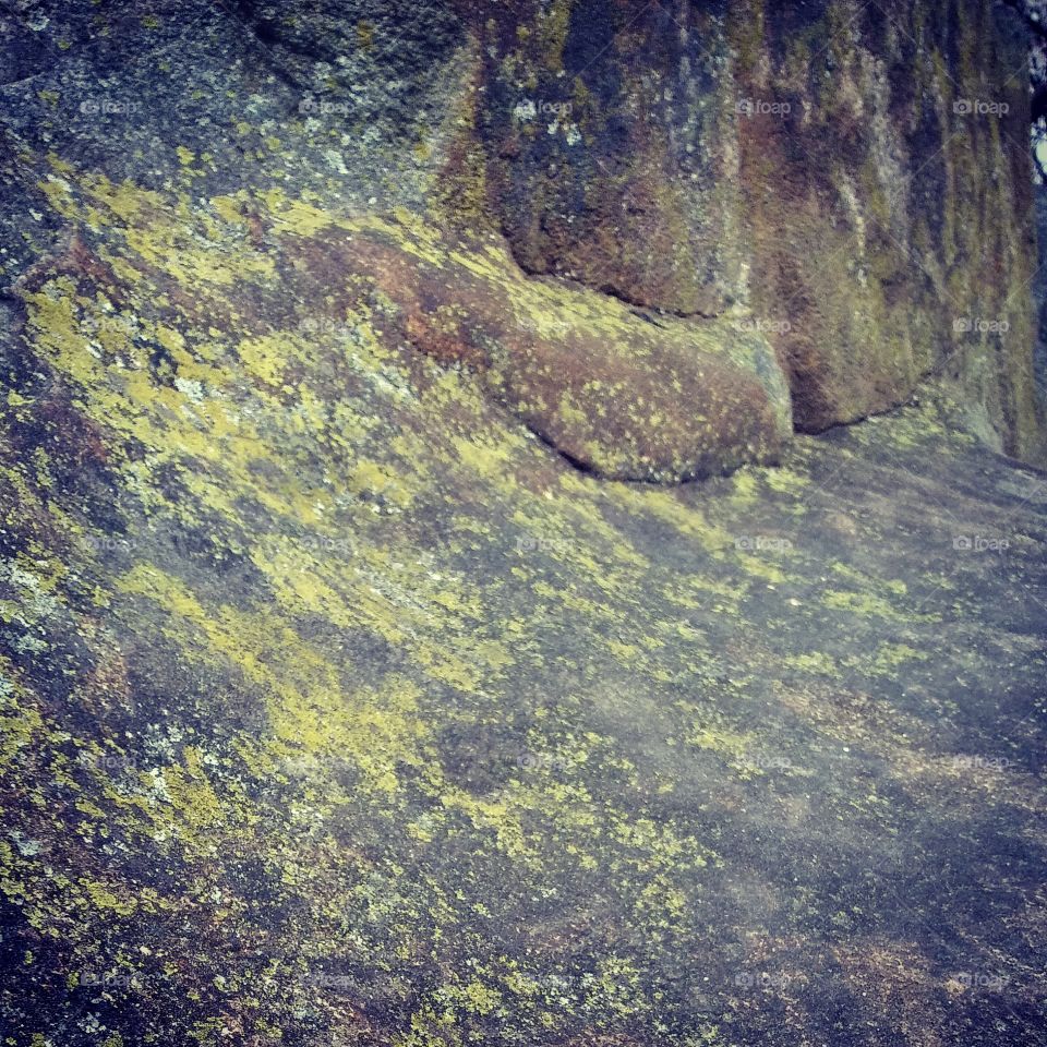 Rock, Moss, and Lichen Textures 04