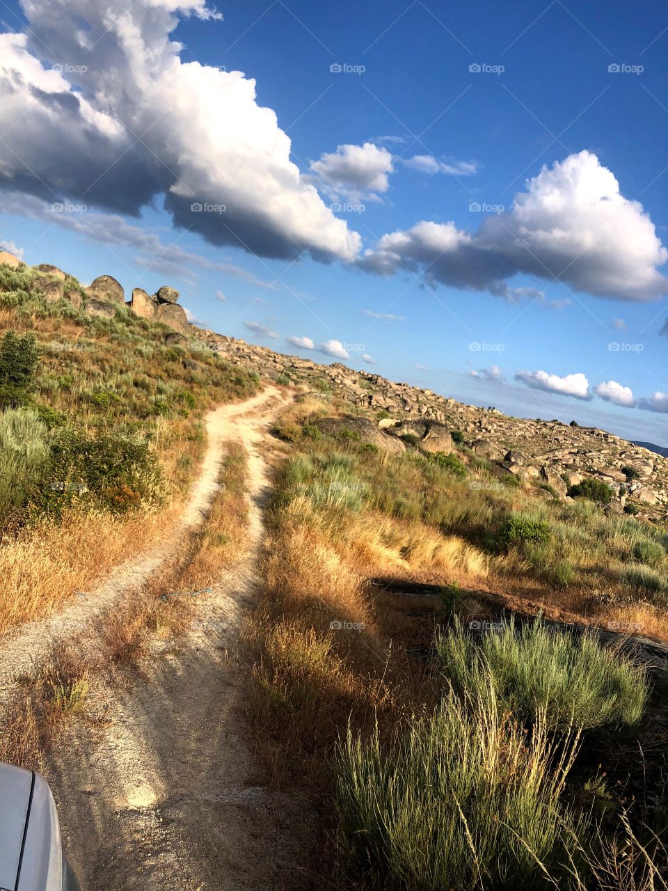 Explore in Bragança 