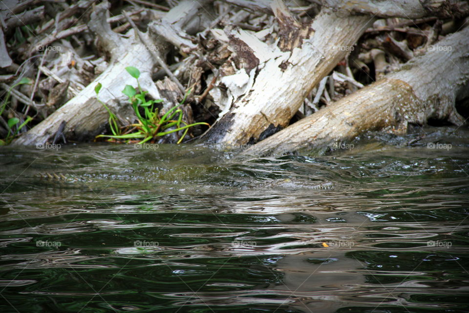 Water, River, Nature, Wet, Stream