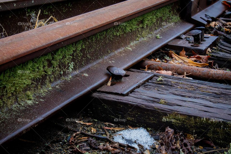 Damp dark moss covered and rusty train tracks on a rainy day during winter in New England.