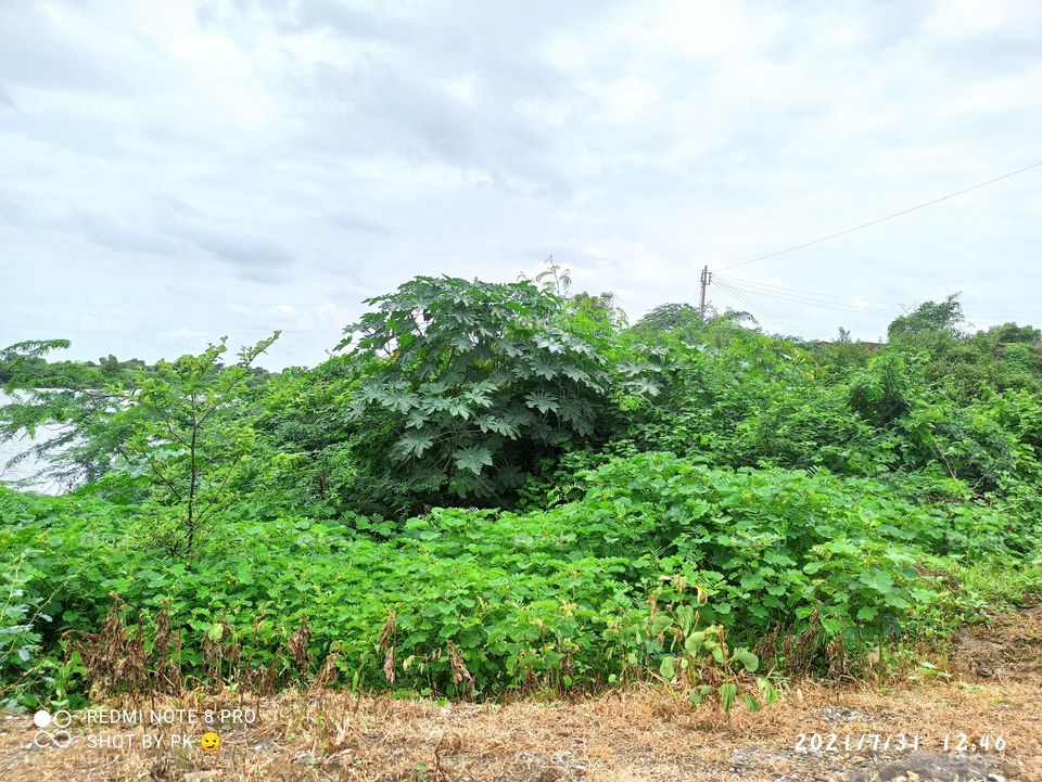 life is better in nature