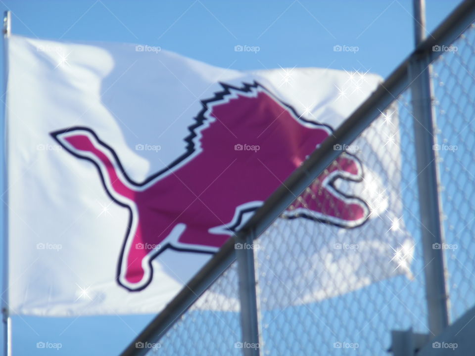 Brownwood Lions. This is a picture of a flag flying over the football stadium in Graham Texas who hosted the Brownwood Lions. 👣 🚶 🏃 🔥