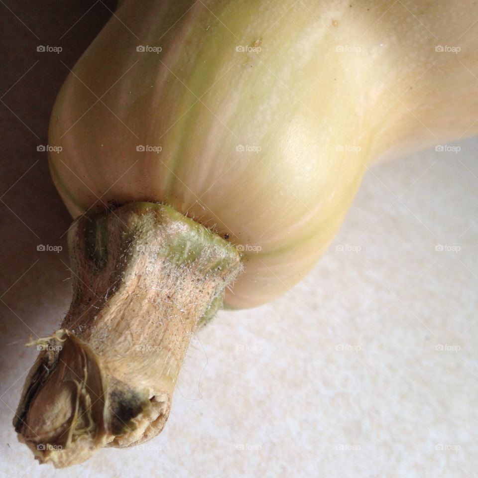 Butternut squash fresh from the garden 