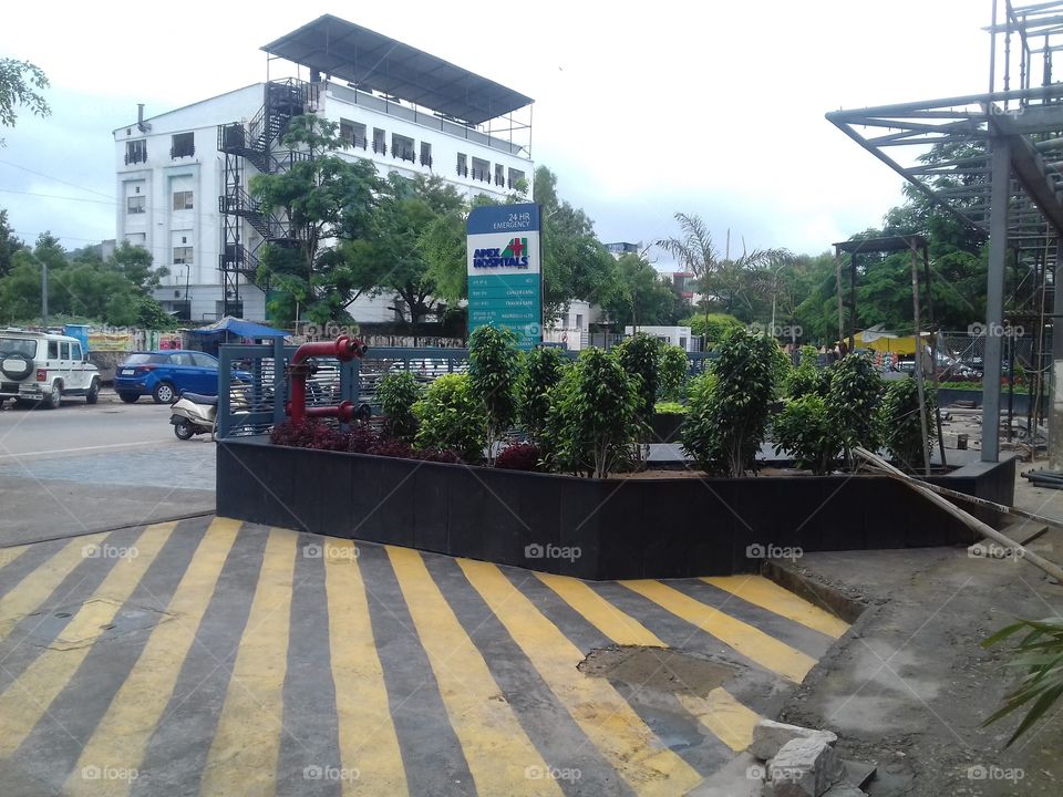 great! Different colour planted in the garden nice beauty.