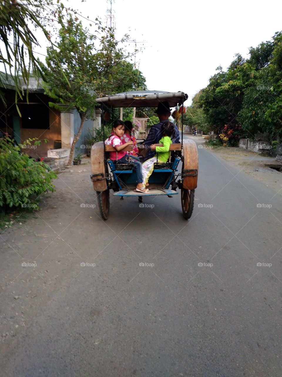 Traditional transportation of Java
