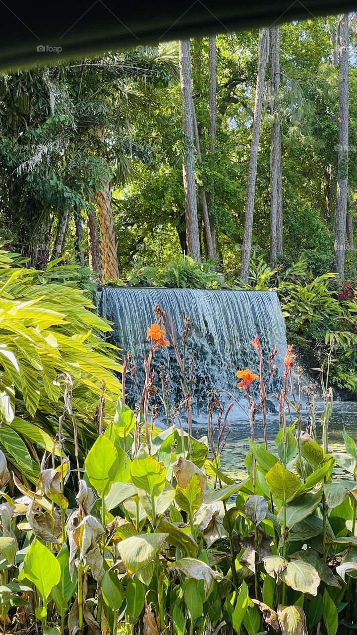 Falls- Howey-in-the-Hills 