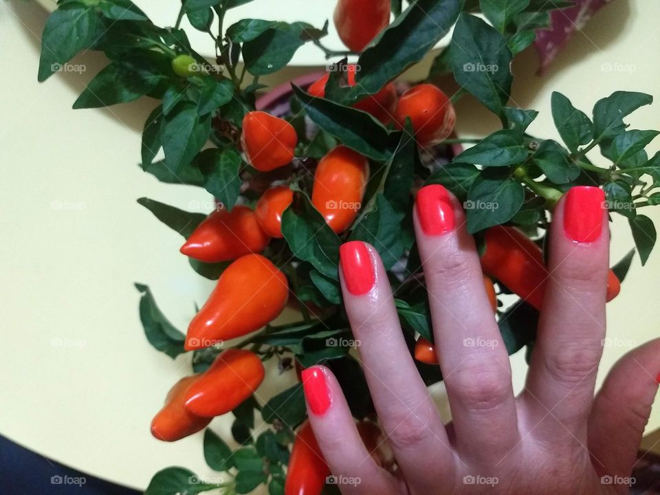 Orange Peppers and nails