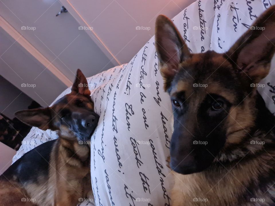 I'm try'N 2 sleep Dad!