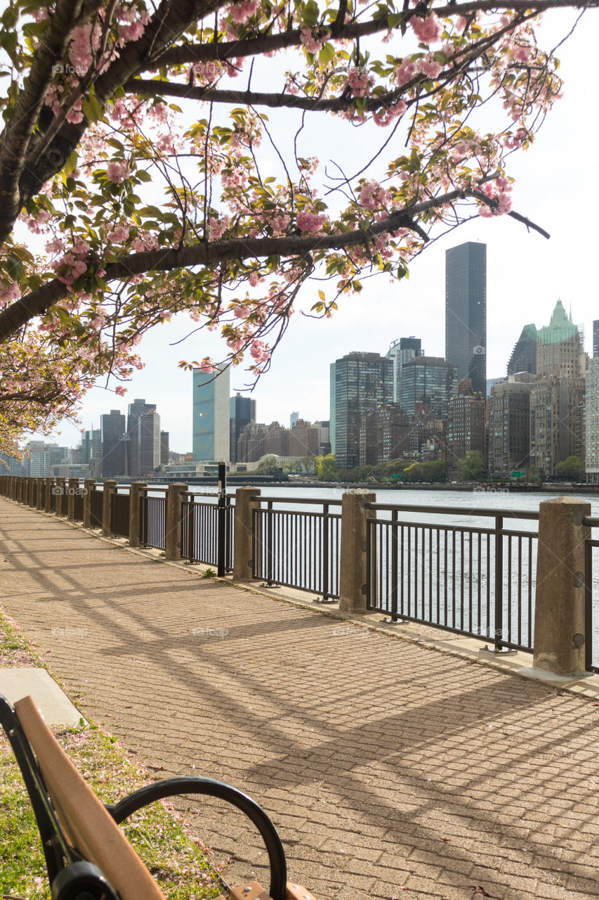 Springtime in NYC