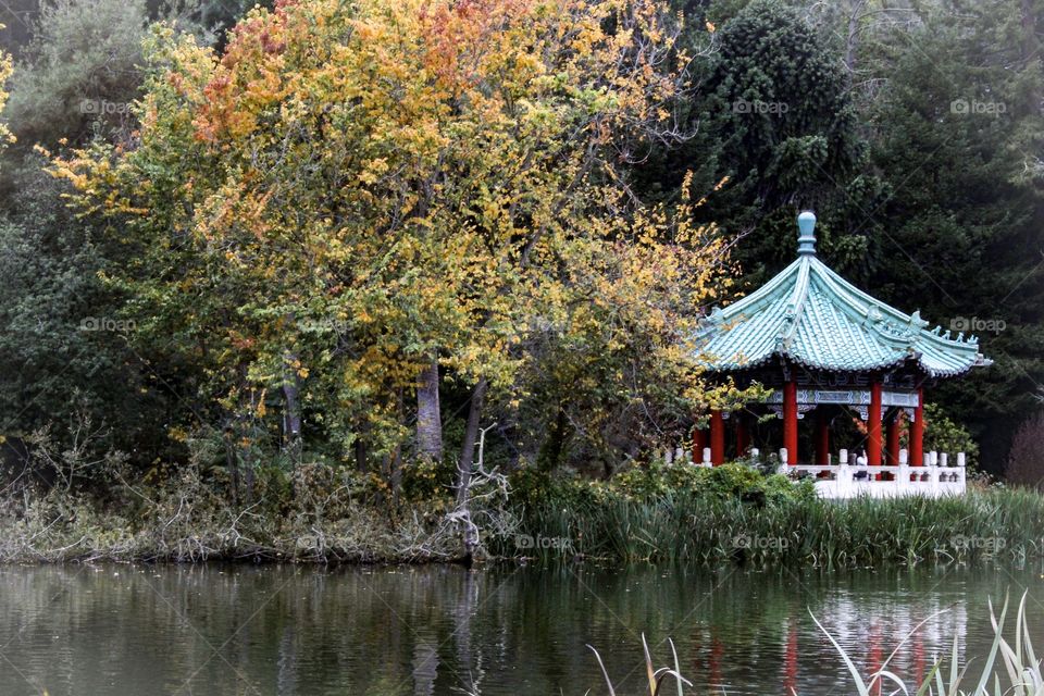 Golden gate park,yellow,autumn,San Francisco,lake,Japanese,gazebo,garden