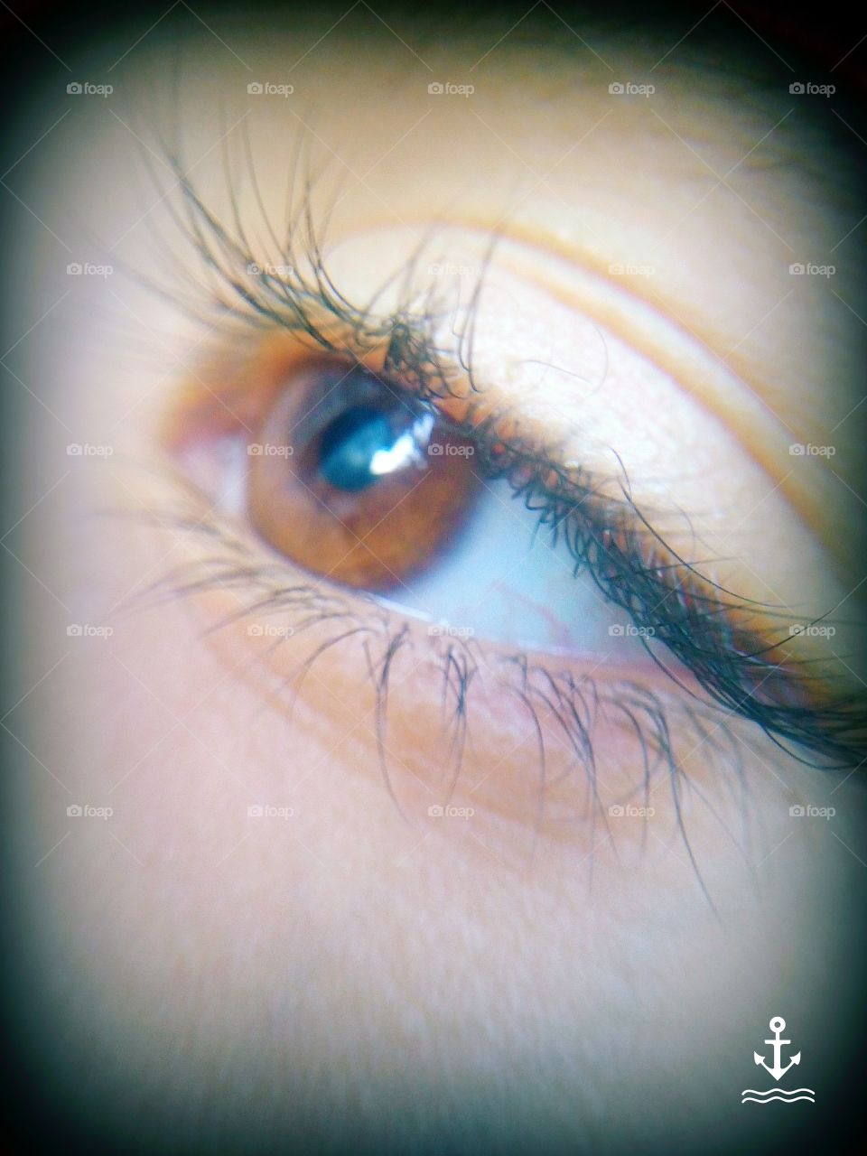Pretty Brown Eye, Using Micro Lens.