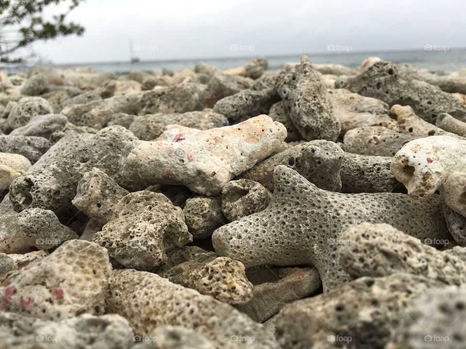 sea ​​rocks