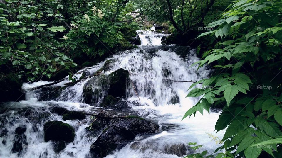 hiking stream Alaska